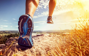 Résultats du trail du taillan
