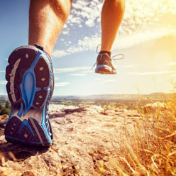Résultats du trail du taillan